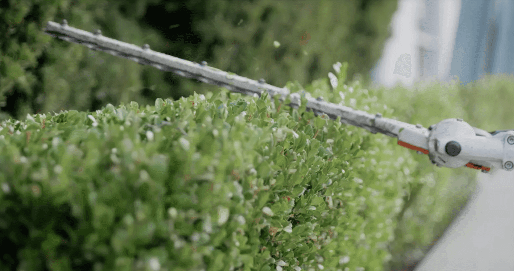 Hedge Trimming