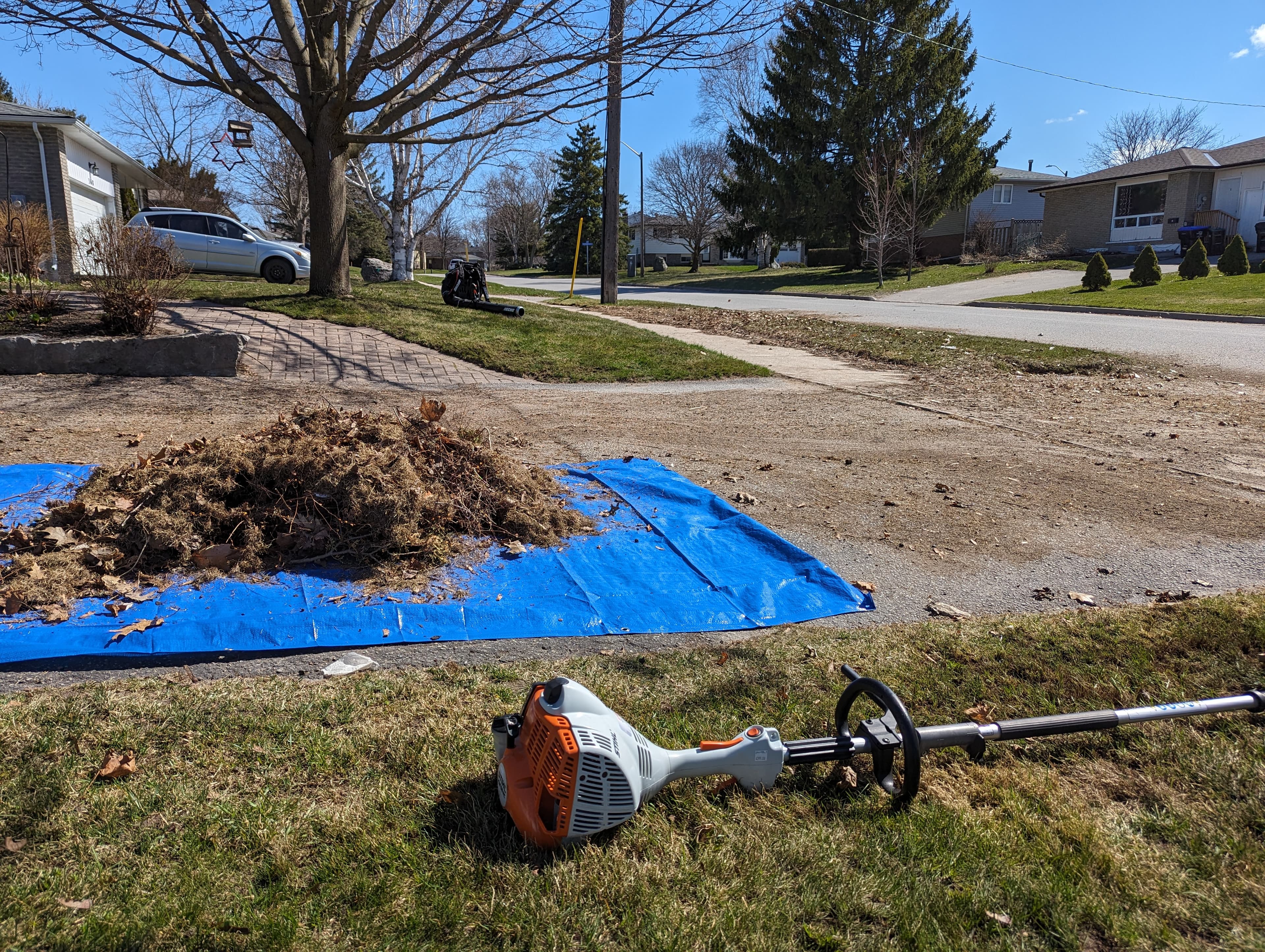 Spring cleanup service